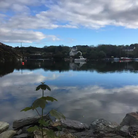 Harbour Tiny House Domek alpejski *